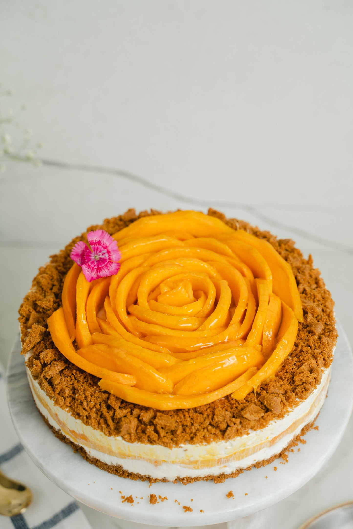 Mango & Lotus Biscoff Cheesecake